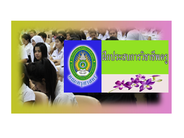 ฝึกประสบการวิชาชีพครู
