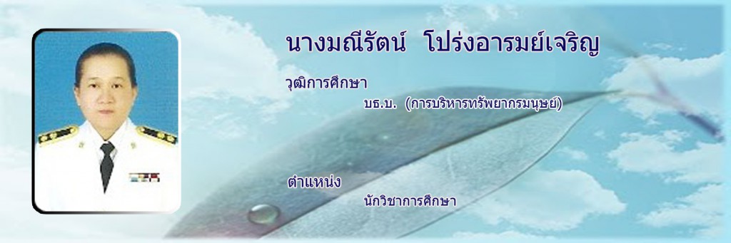 แมว1